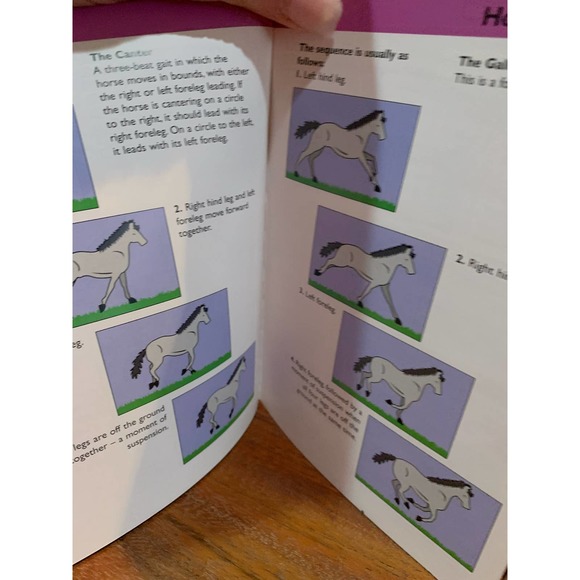 Lot of 6 Horse Books for young adult reader - Picture 5 of 14